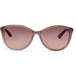 Ferrara Sunglasses -Fashion Accessories Store ferrara sunglasses brown 2