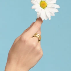 Inner Circle Double Ring 15 Inner Circle Double Ring -Fashion Accessories Store inner circle double ring gold 2